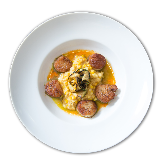 scallops